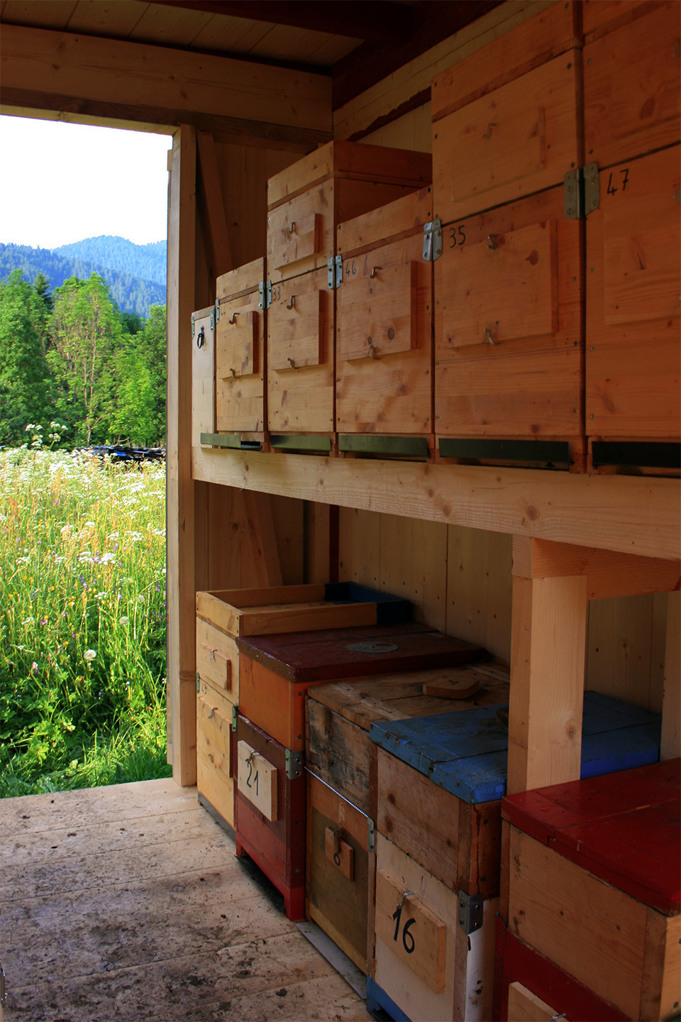 “Binnenhaus”蜜蜂蜂巢设计-21