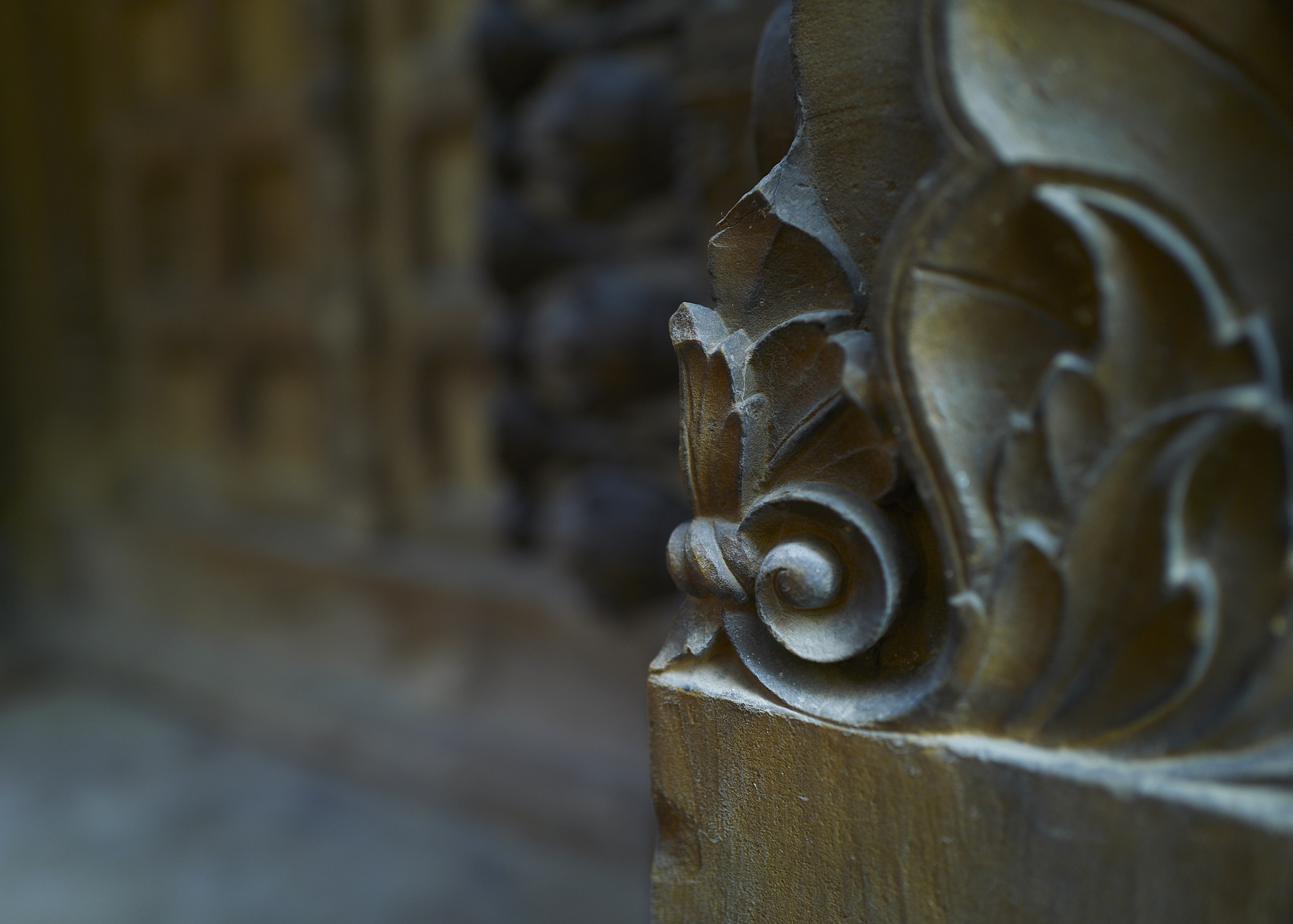 Varanasi 国王的秘密寺庙-6