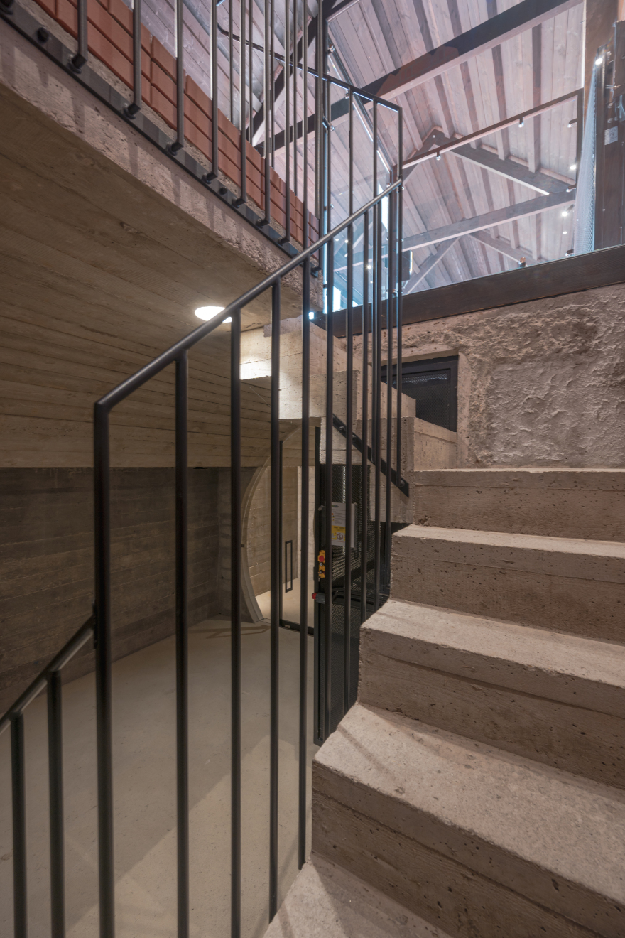 VINEYARD IN DOBRZEŃ MAŁY, POLAND | PORT-19