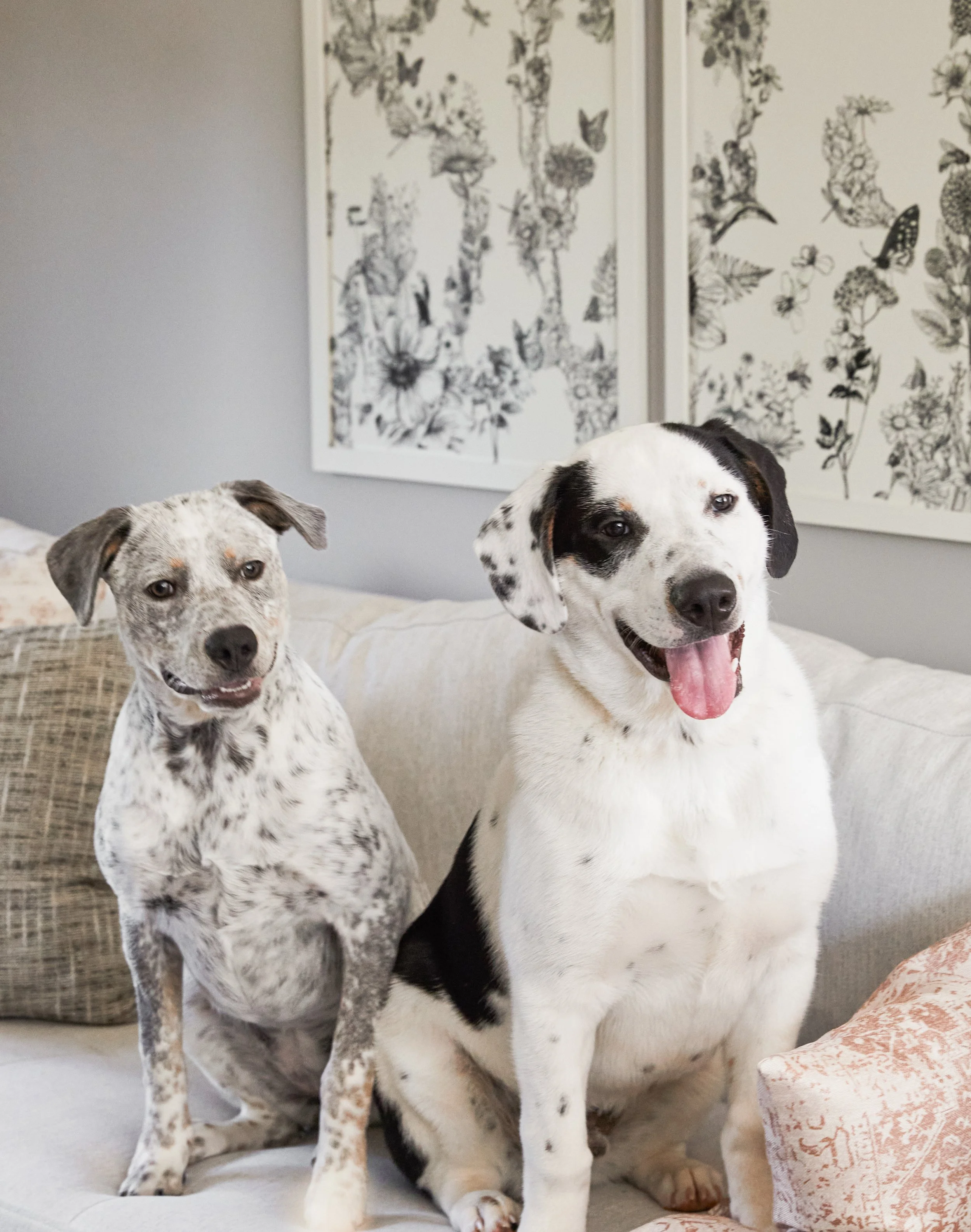 浮士德设计建造总部丨美国纽约-25