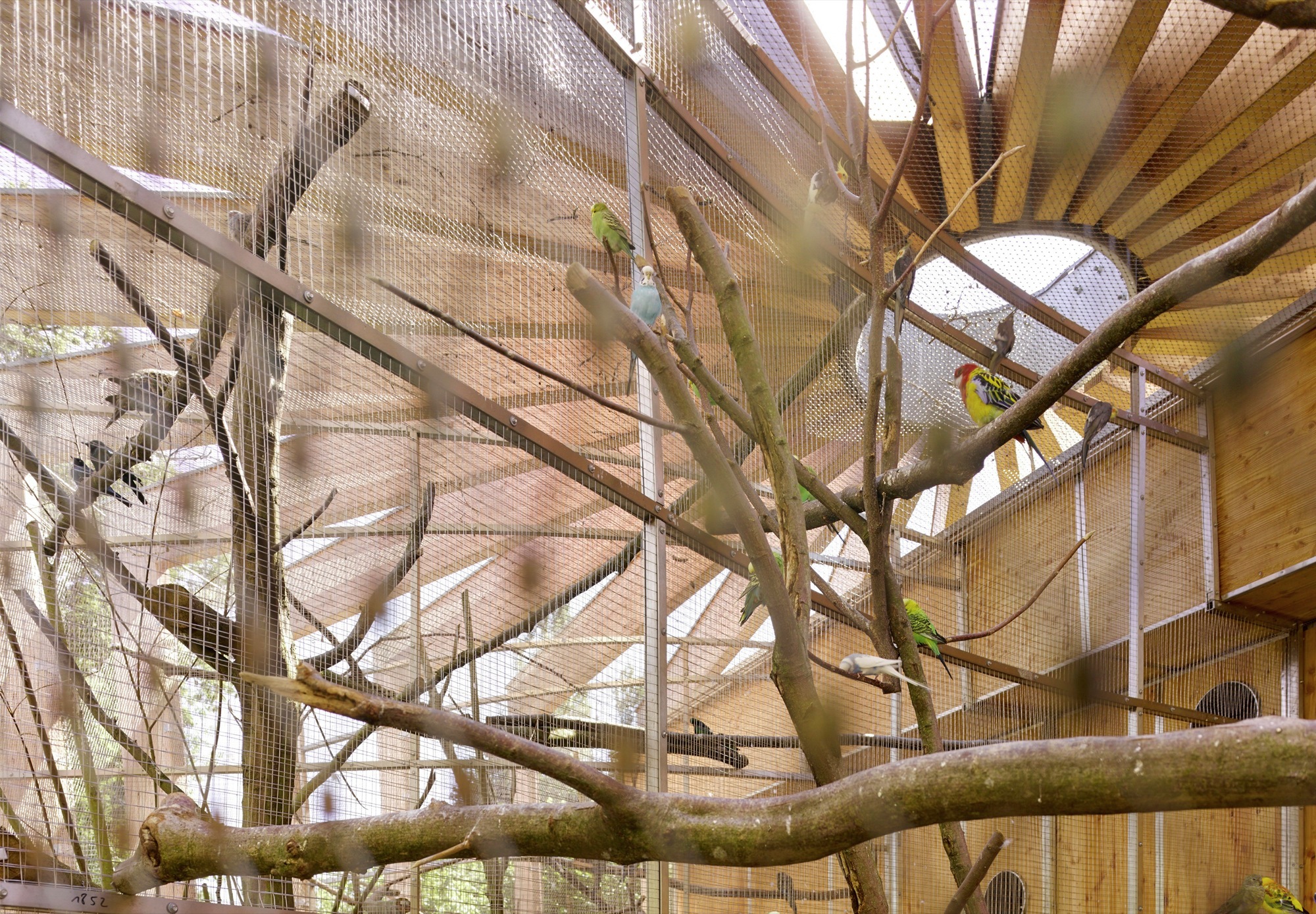 德国厄赫林根宠物动物园设计丨Kresings Architektur-23