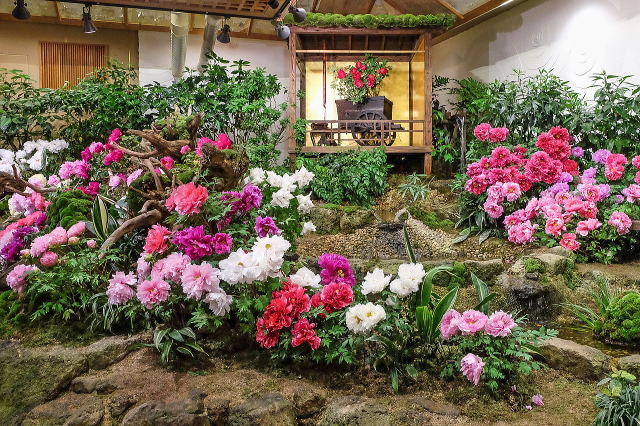 由志園丨中国松江-36