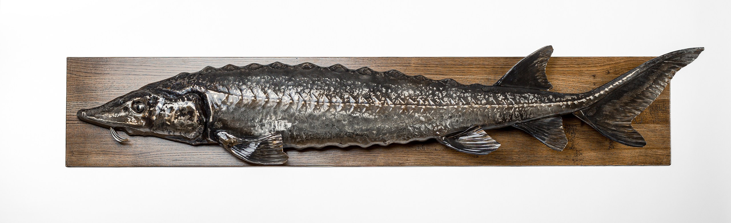 Стерлядь настенная из нержавеющей стали-0