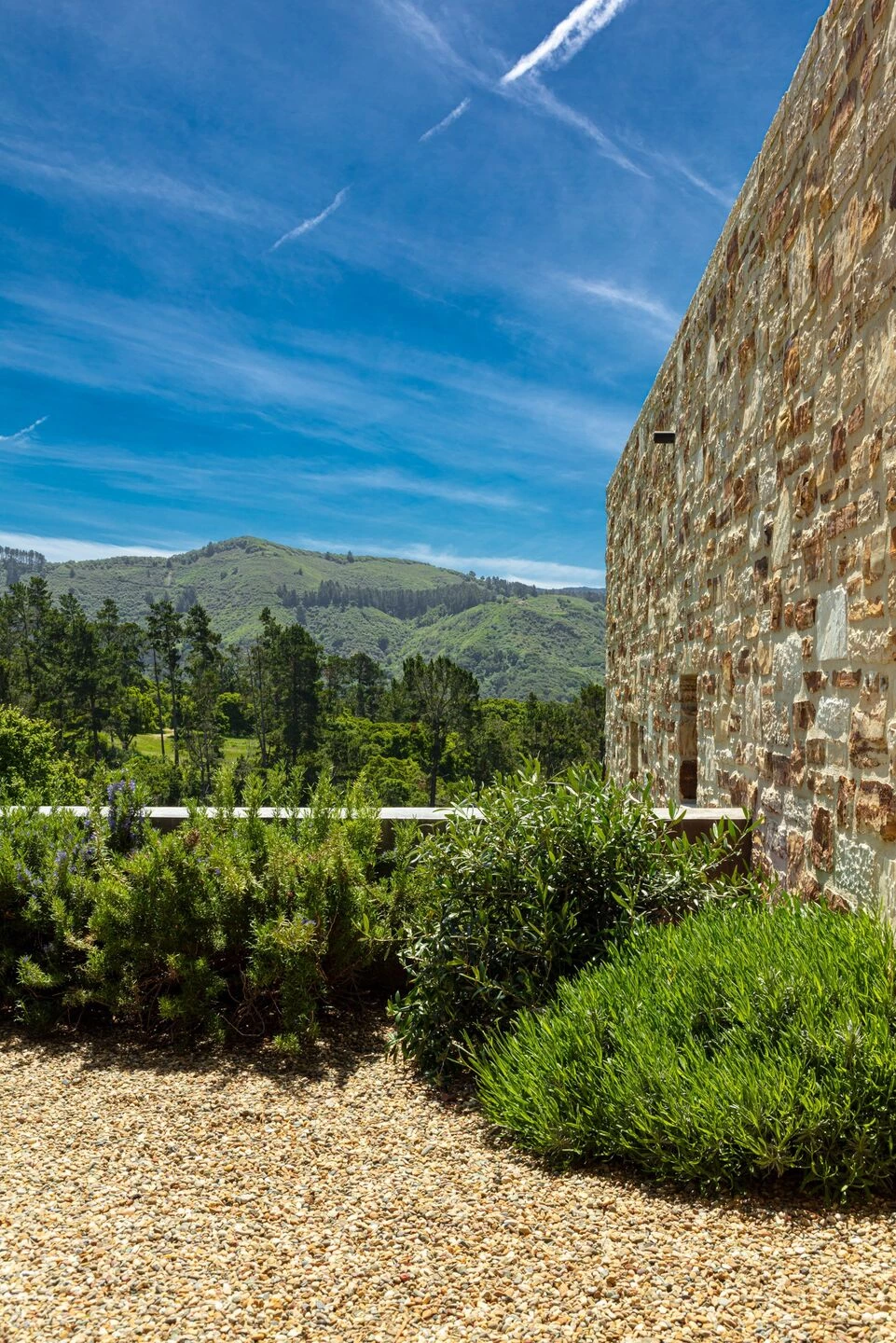 加州卡梅尔谷地零能耗现代别墅-19