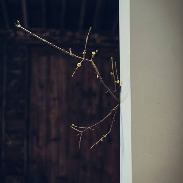 人到半山，止息而行，不问归期-55