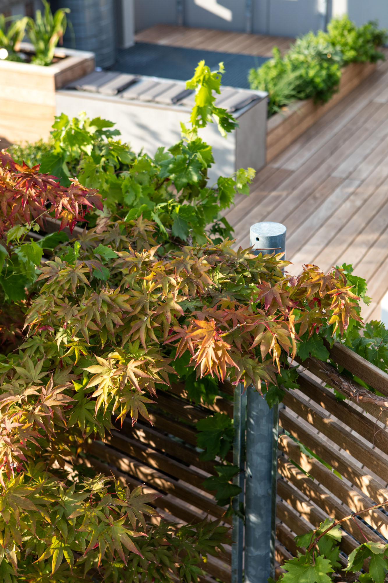 屋顶平台重新设计-7