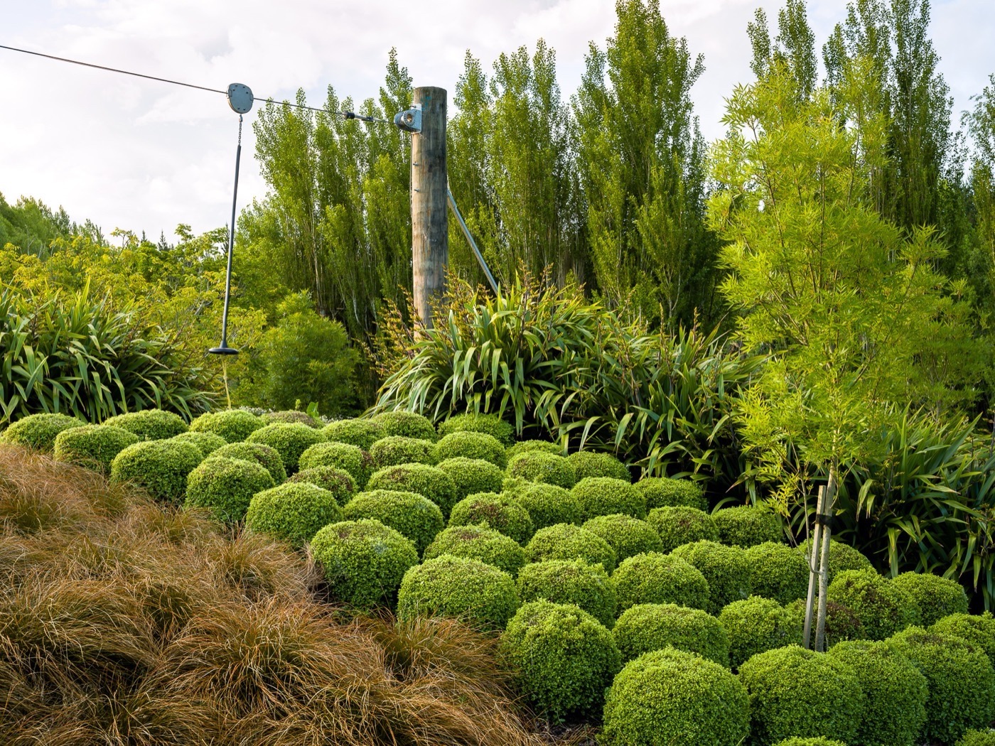 赫斯基路住宅设计丨新西兰丨Kamo Marsh-12