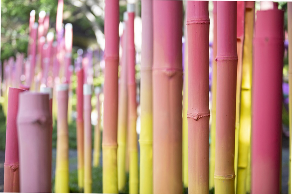 五色竹构点亮哥斯达黎加废弃公园-29