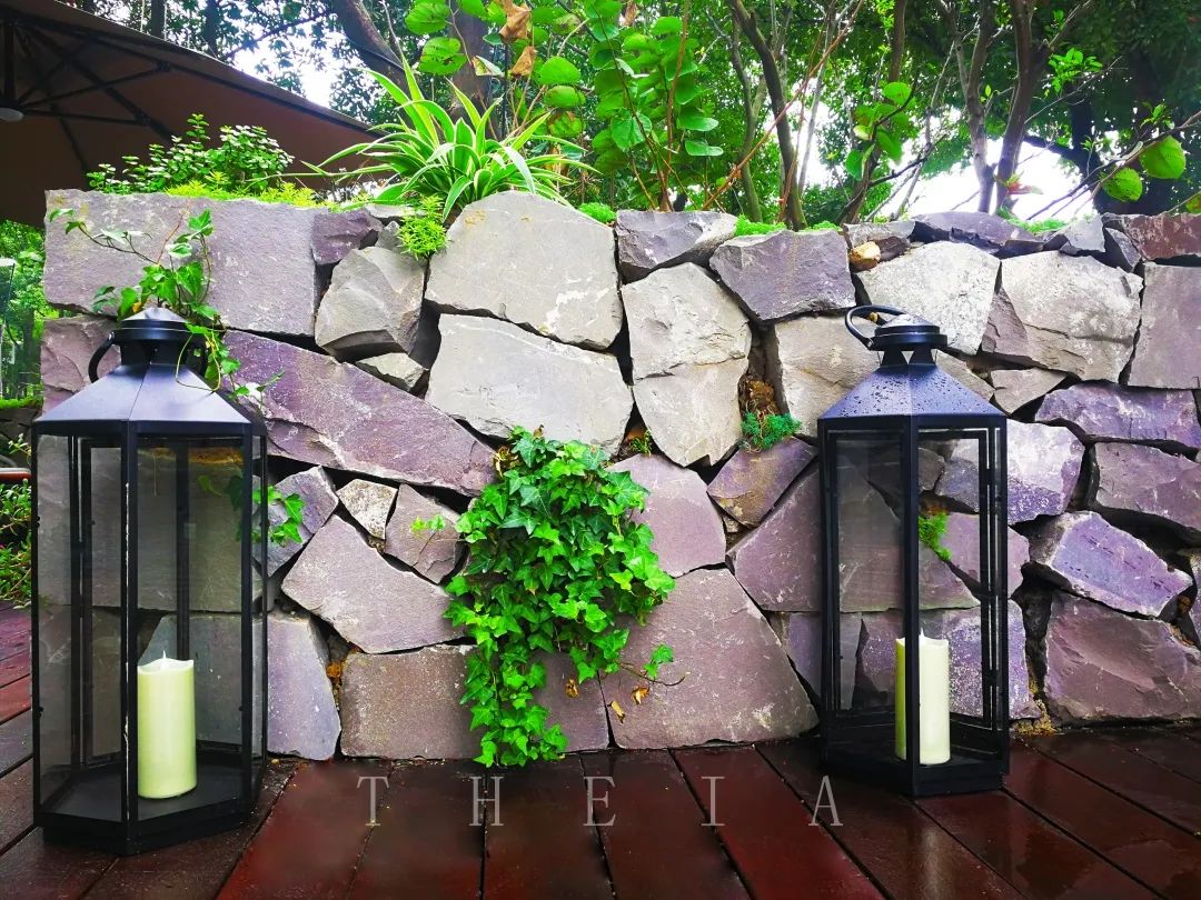 迪赛·东篱 | 闲田信步，采菊东篱-82