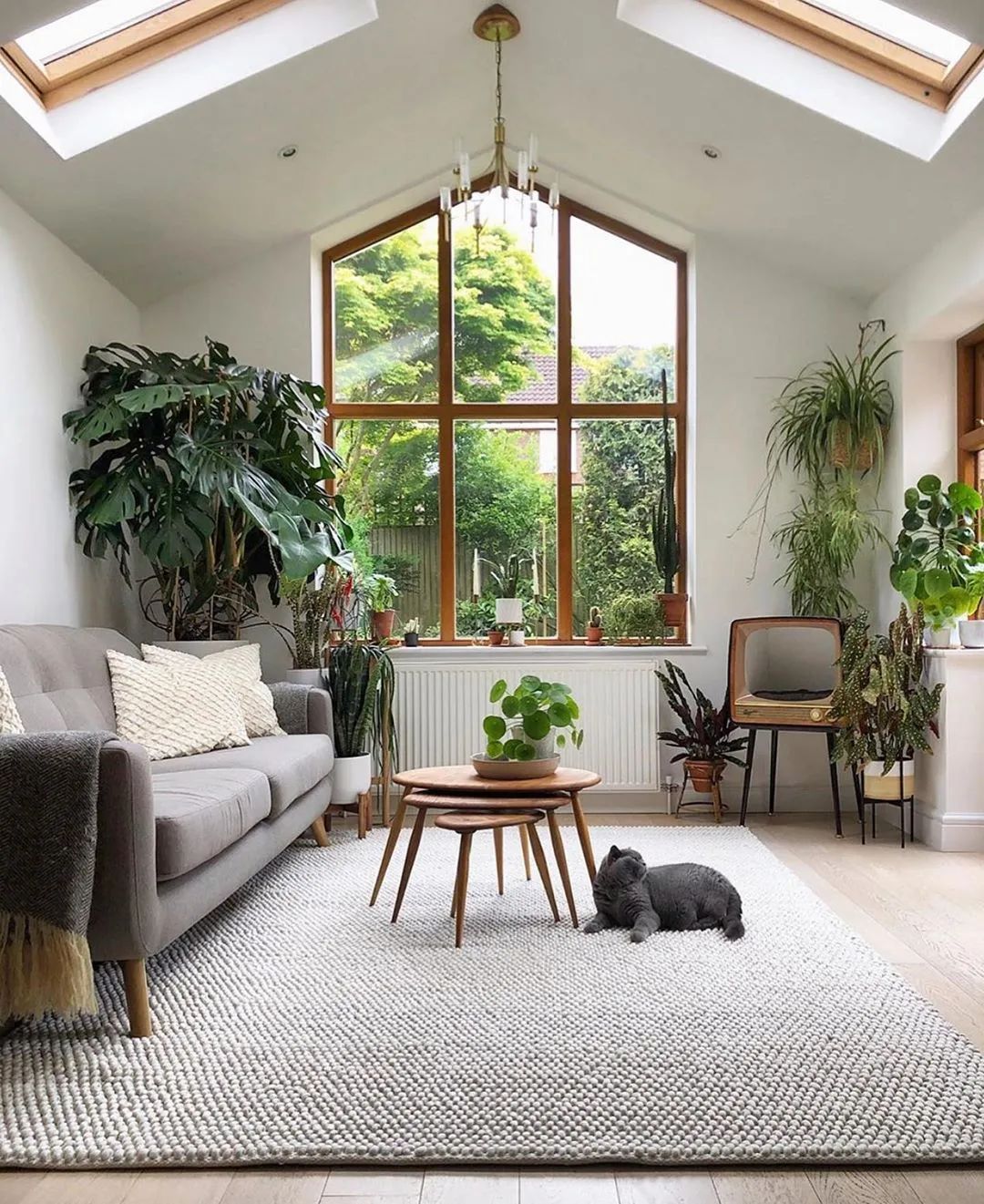 绿植搭配家居,打造夏日清凉空间-32