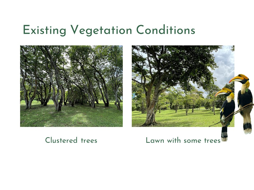West Coast Park Redesign for Mitigating UHI-4