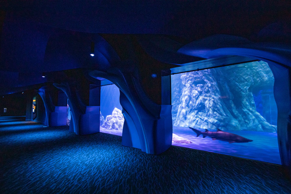 Georgia Aquarium Expansion, Atlanta, GA | Oculus Light Studio-3