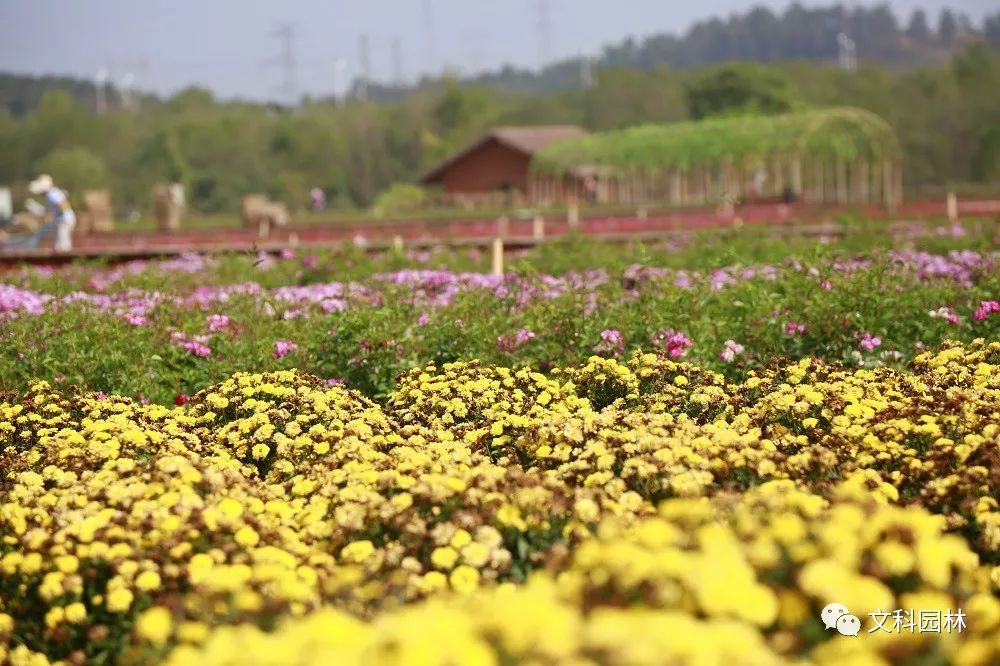 武汉文科生态田园 | 诗意田园之旅的设计亮点与体验-33