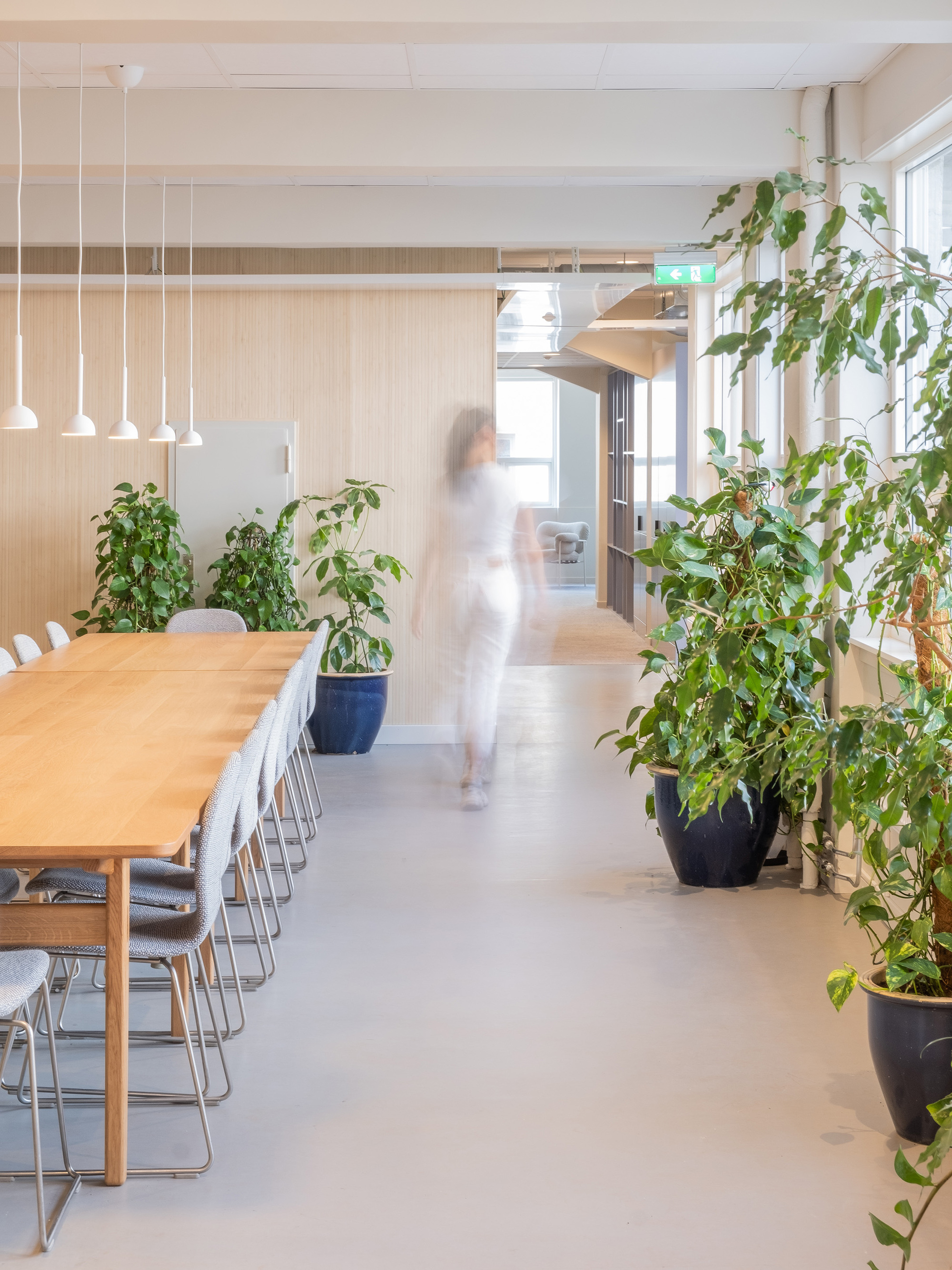 Cinemateket 电影院丨挪威丨SAAHA AS-29