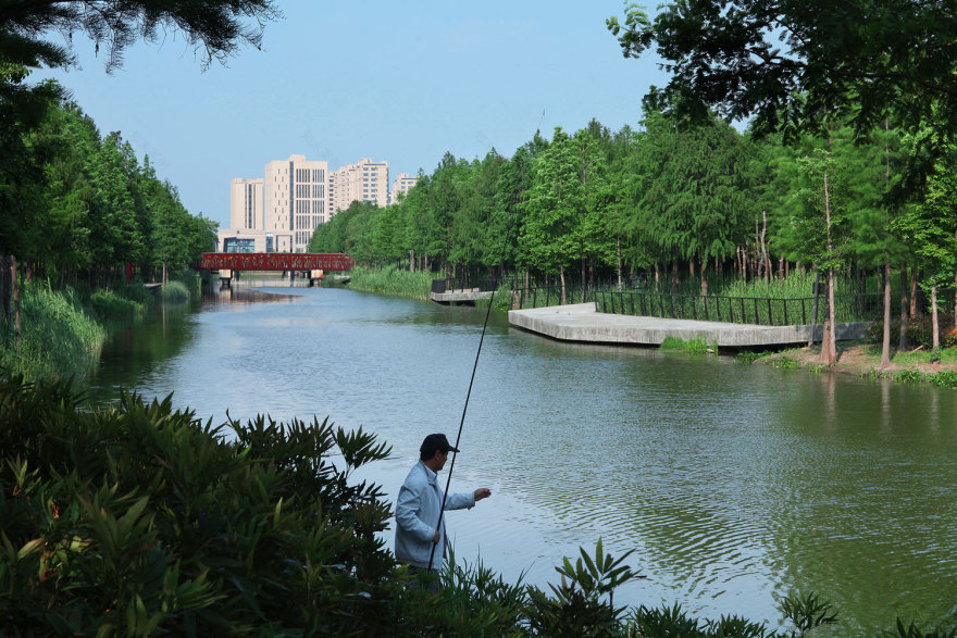 嘉定石冈门塘湿地公园-3