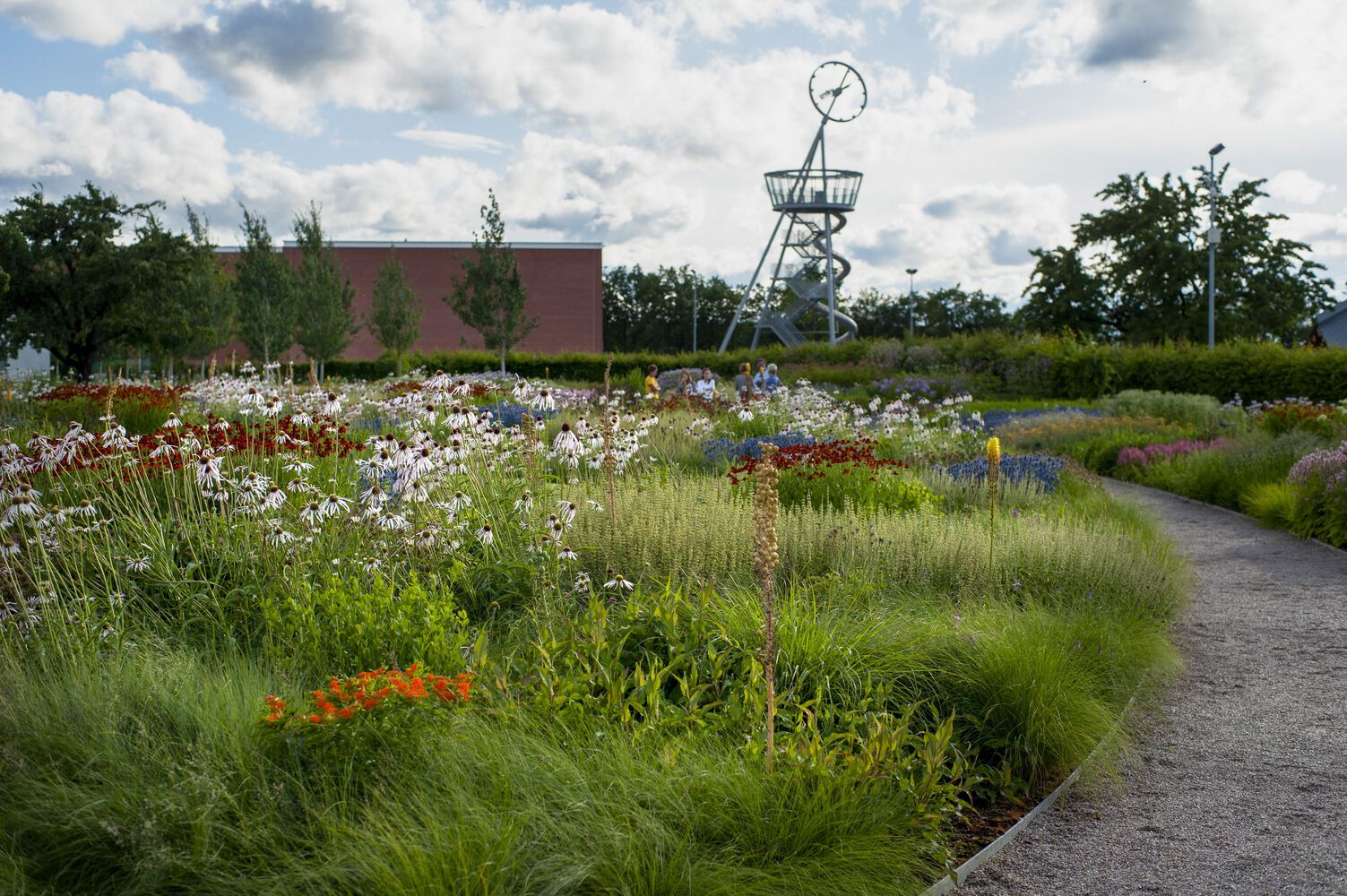 德国Vitra Oudolf花园丨Piet Oudolf-23