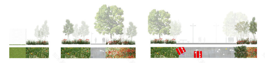 帕克·鲁格维尔德·波特拉拉尔·西尔斯堡-19