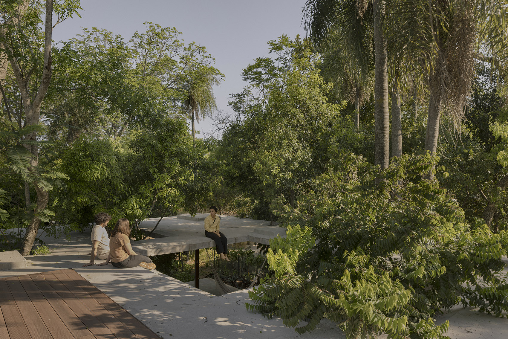 屋中森林丨巴拉圭丨Equipo de Arquitectura-16