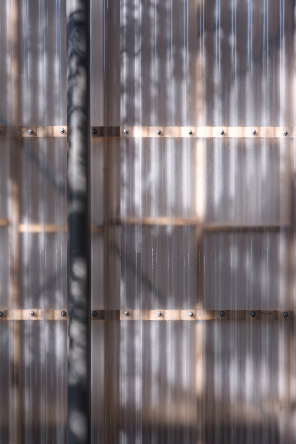 澳大利亚国立大学临时聚会村-13