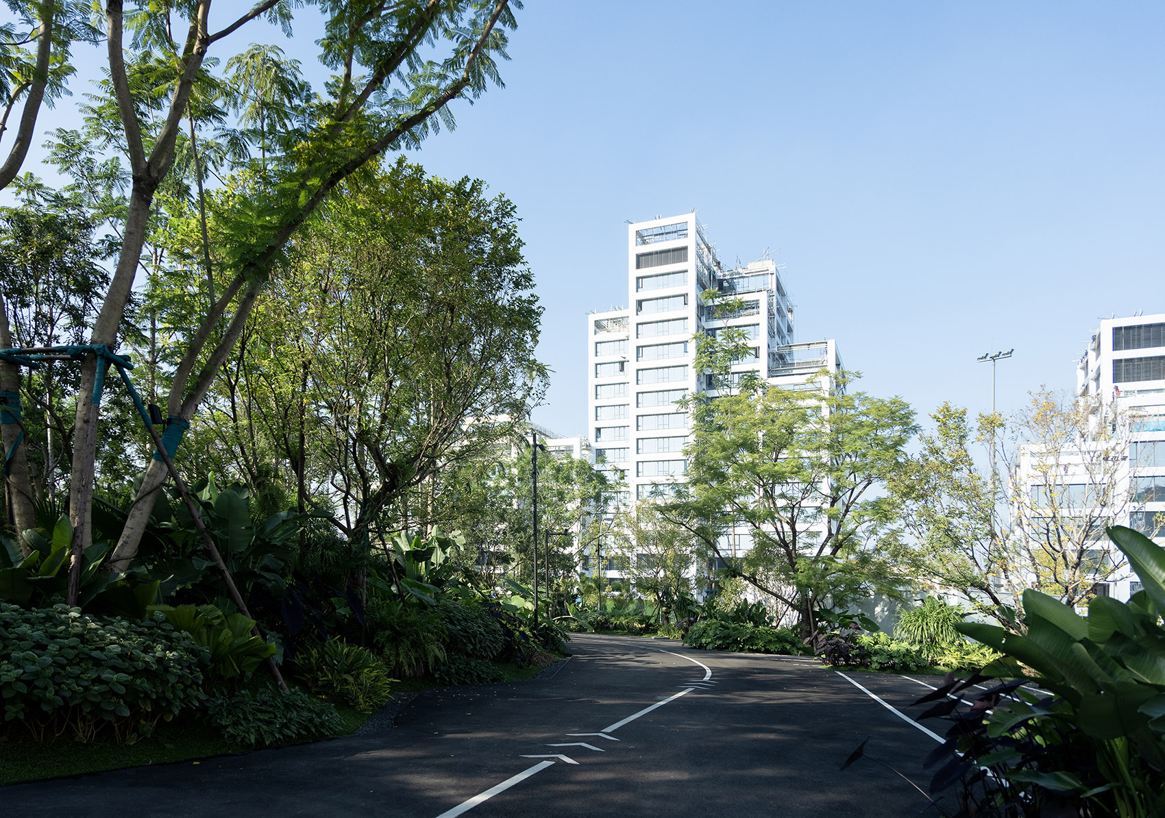 麓湖G11 PARK景观设计丨中国天津丨成都魏玛景观设计有限公司-119