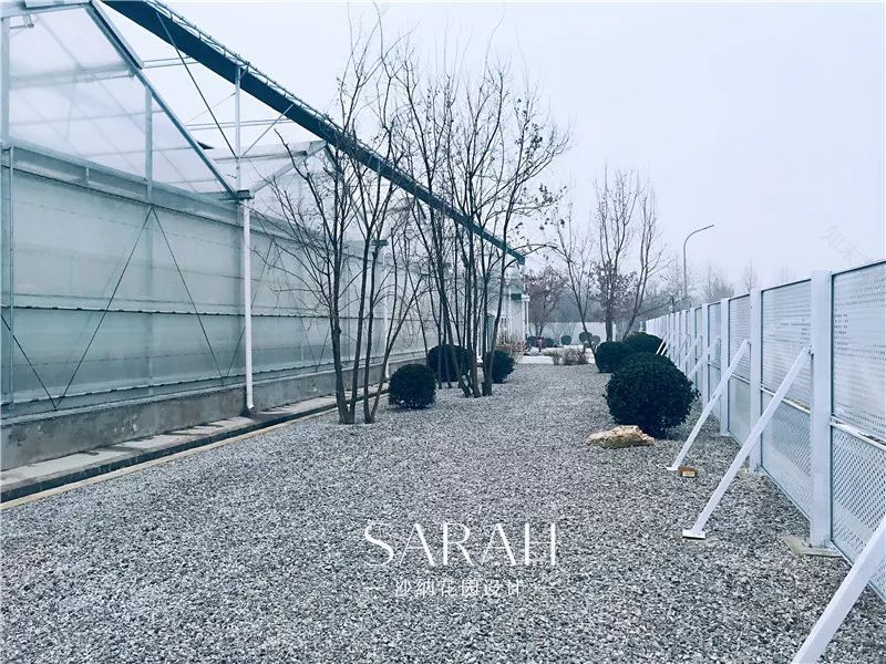 高技术与高颜值的京东"未来“植物工厂-28