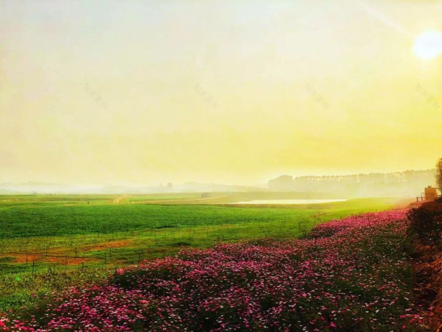 深圳最美绿道丨森林悦跑等你来-59