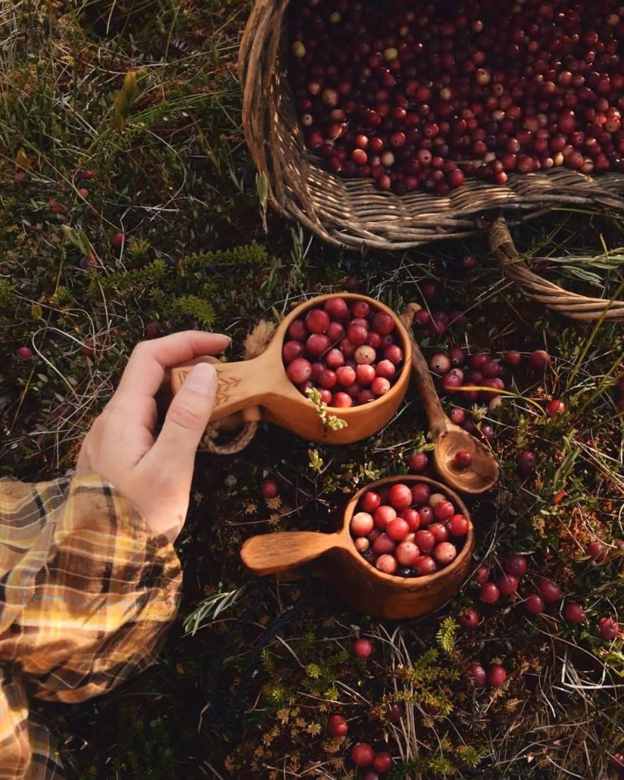 97 年小仙女隐居森林,把生活过成了童话-30