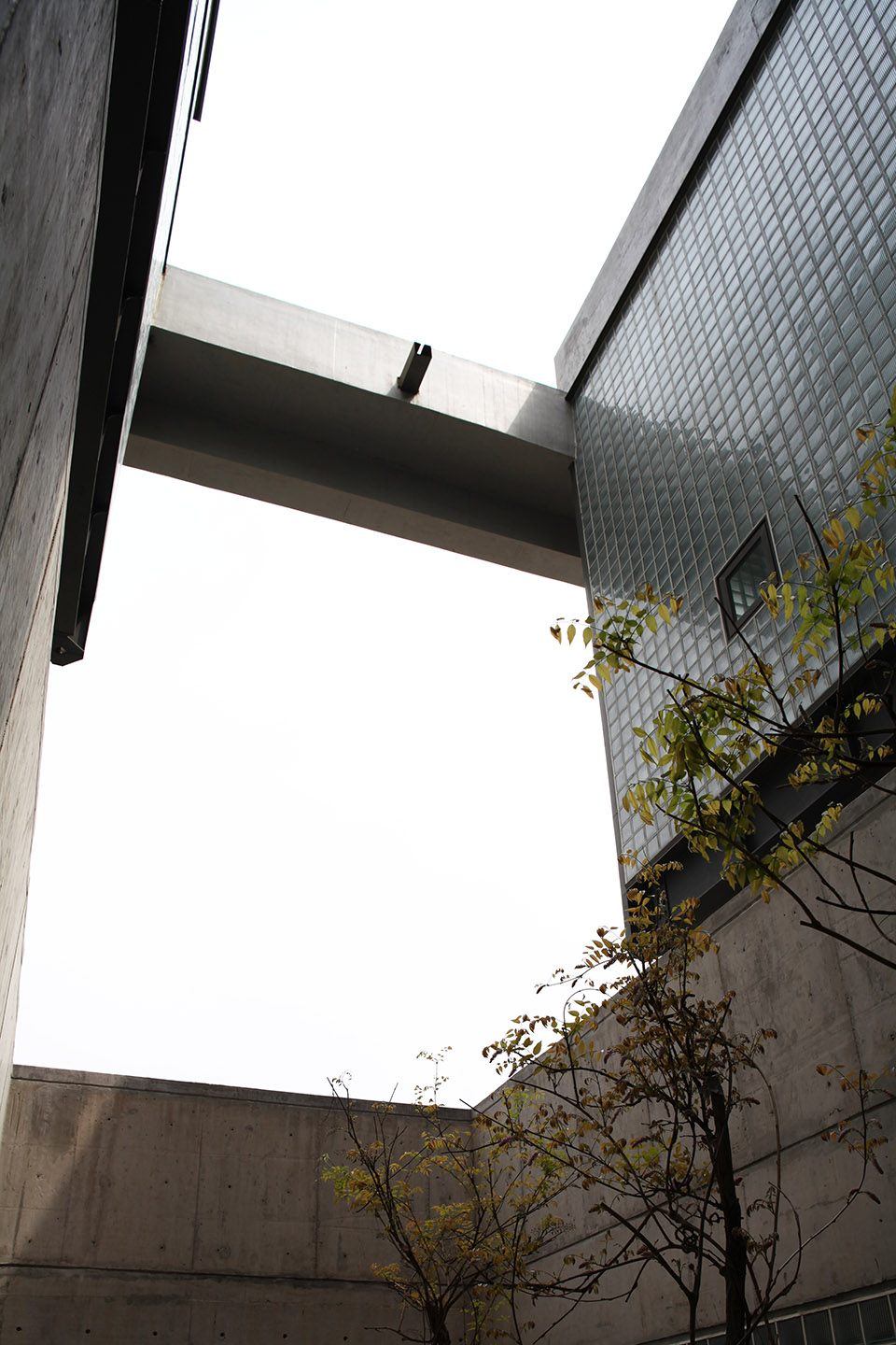 宁波柯力博物馆－混凝土框架与玻璃盒交响曲-58