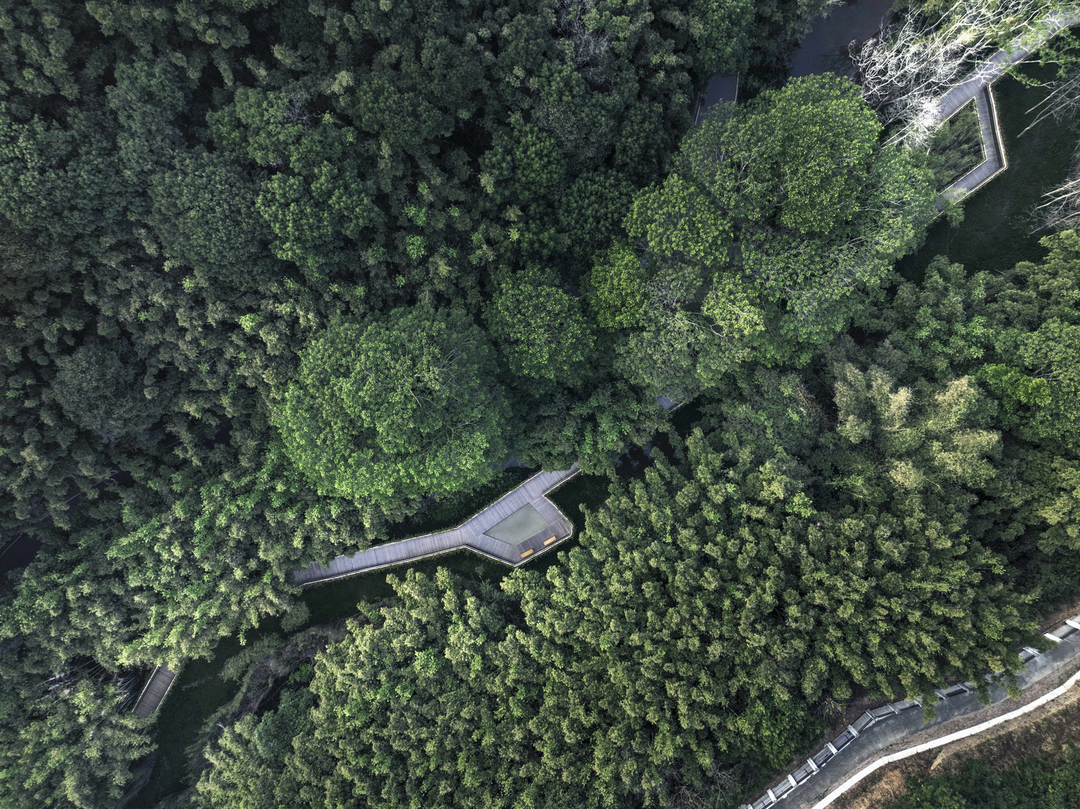 天鹿湖航新种子谷·现代农业公园丨中国广州丨PFS Studio(丛联景观)-19