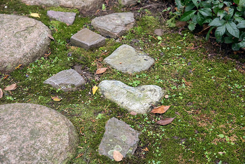 金戒光明寺庭园丨日本京都丨中根金作,植彌加藤造園-39