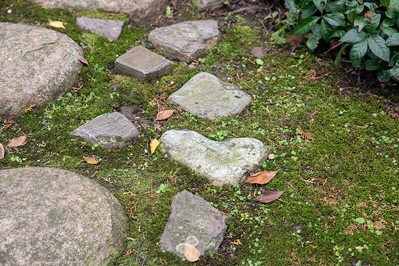 金戒光明寺庭园丨日本京都丨中根金作,植彌加藤造園-39