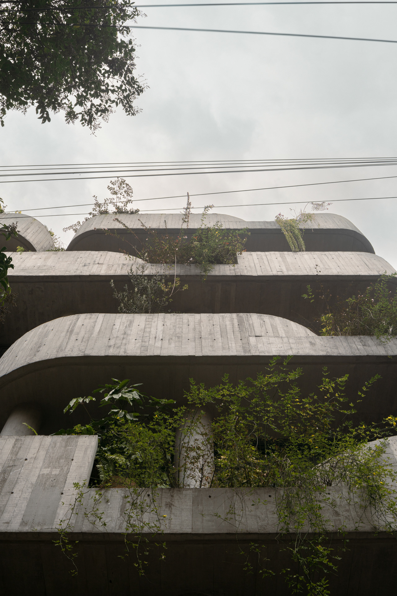 未明确提及丨MICHAN ARCHITECTURE-8