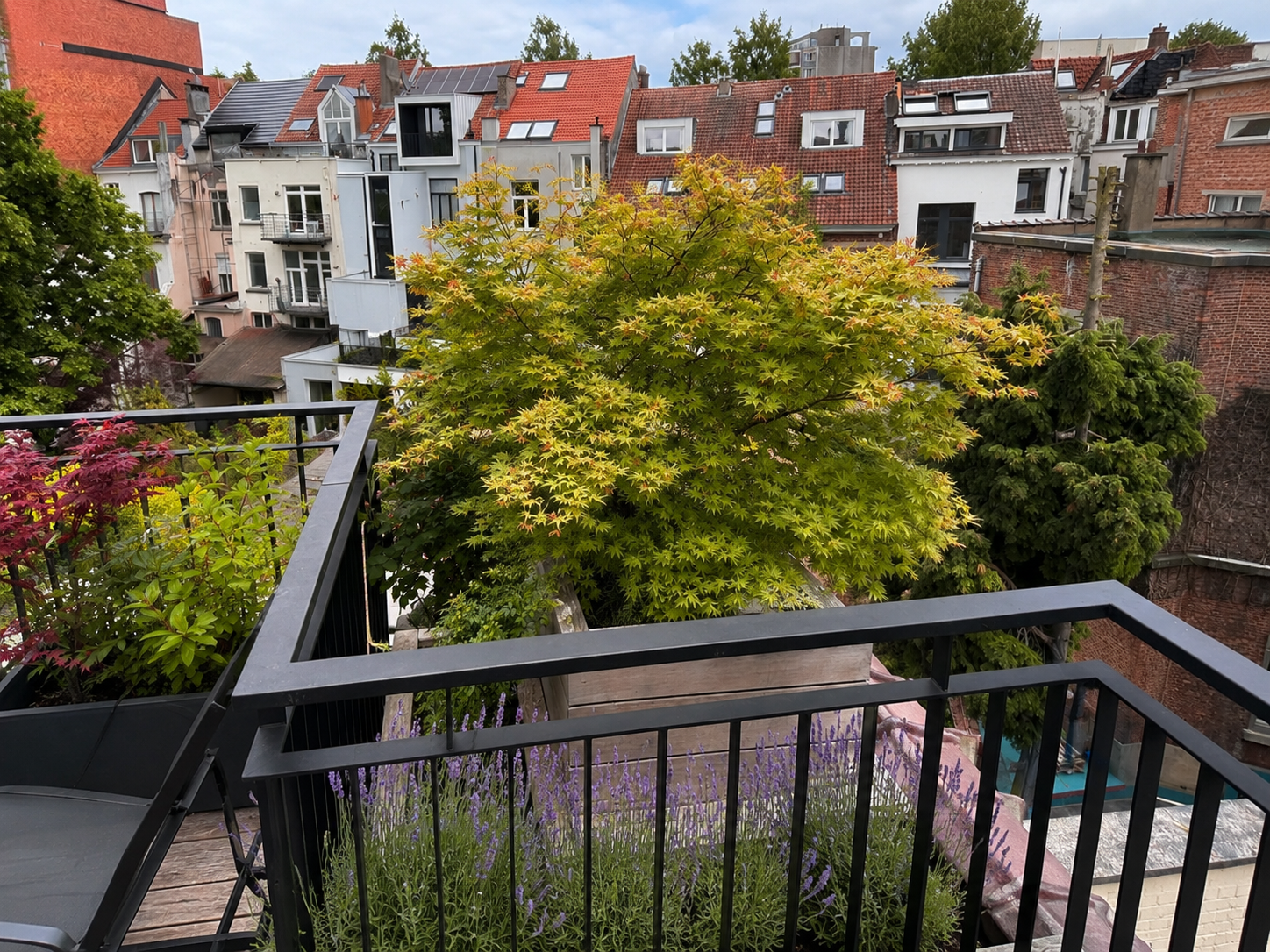 Brussels rooftop transformation-3