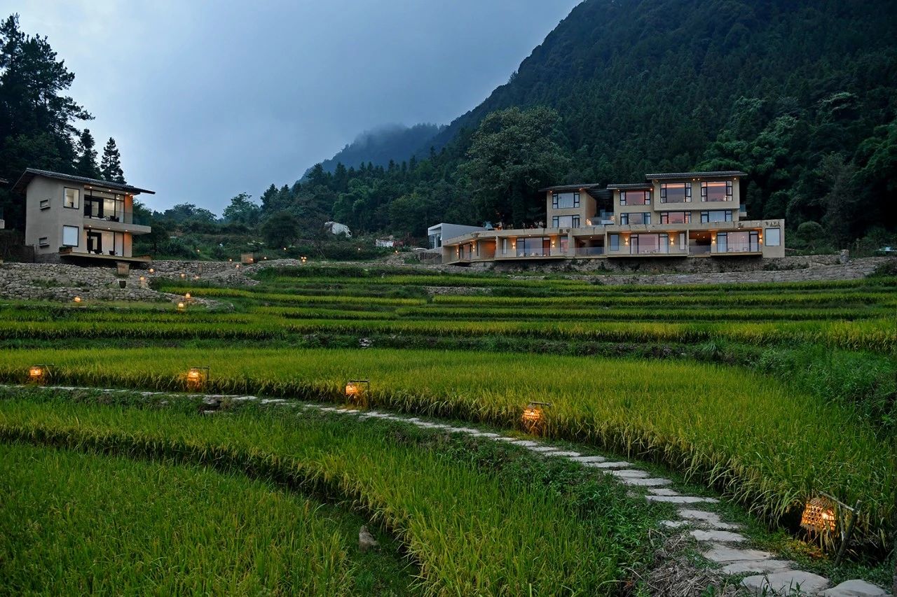 重庆飞茑集 | 睡入云端,尽享清凉山城田园生活-33
