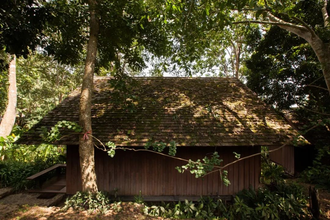 670㎡度假村 | 原生态木工作坊,Glenn Murcutt 式偏远地区建筑技巧-37