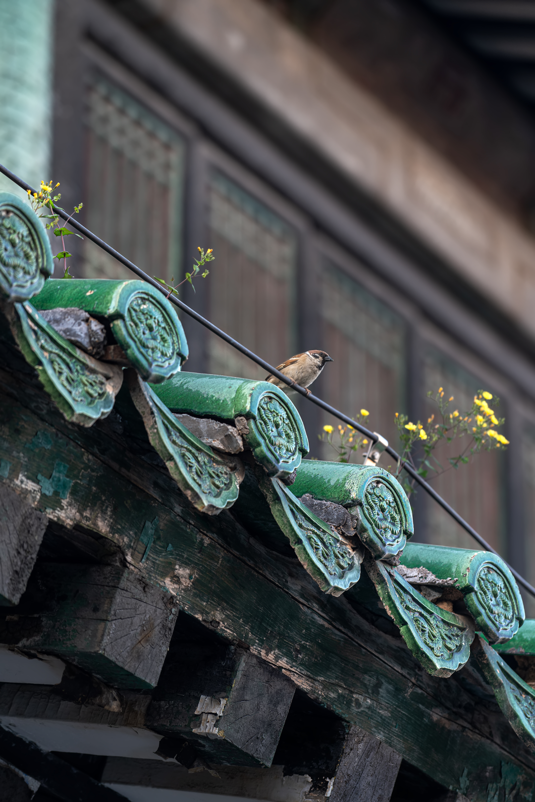 沈阳故宫文博书房丨中国沈阳丨一然设计（上海,深圳,沈阳,北京）-13