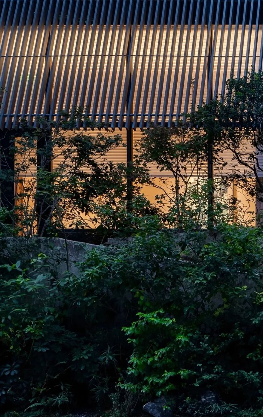 茅台鉴藏馆丨中国深圳丨BLOOMDESIGN绽放设计-10