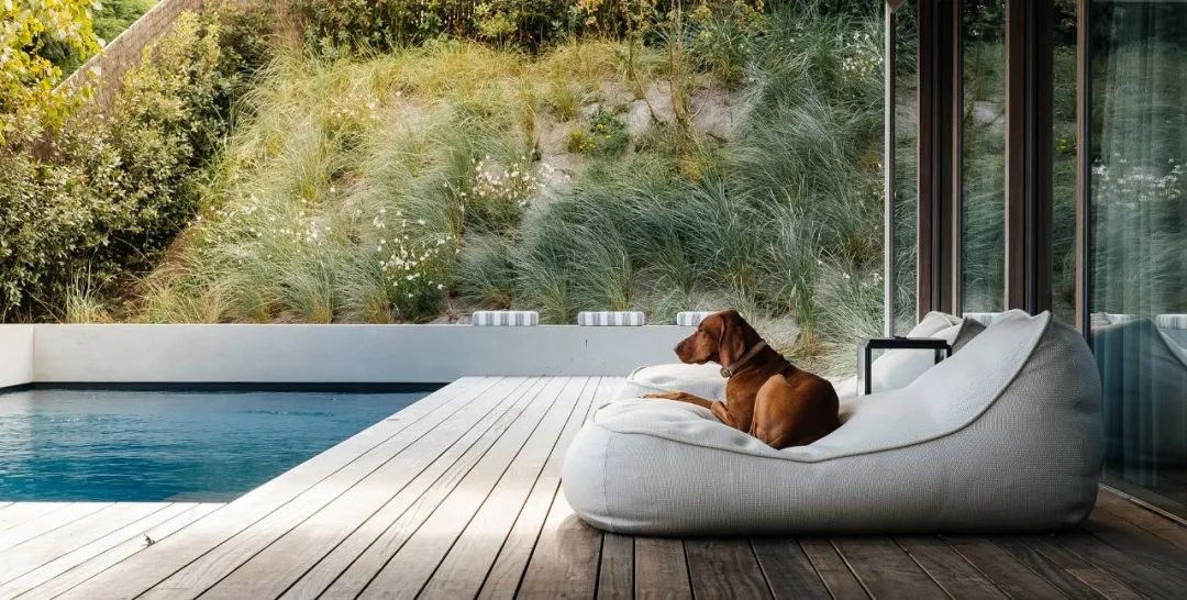 回归设计艺术纯粹的情感-4