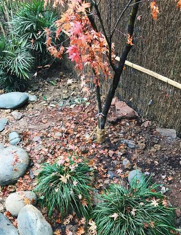 Color Case/90后帅小伙儿仅花3千爆改出租屋后-84