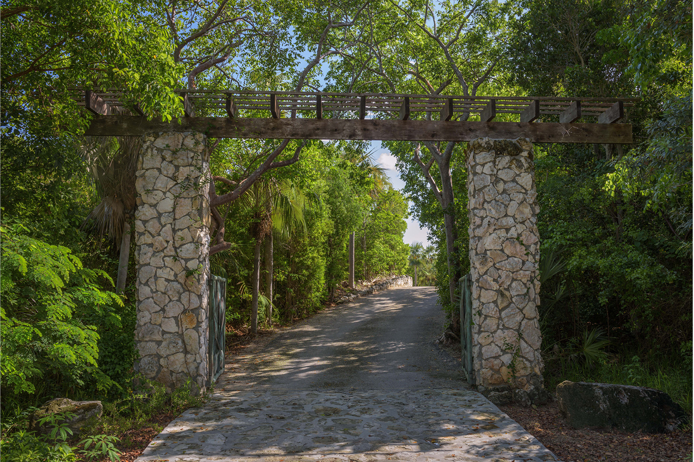 巴哈马Leon Levy原生植物保护区丨沙特阿拉伯巴哈丨不详-9