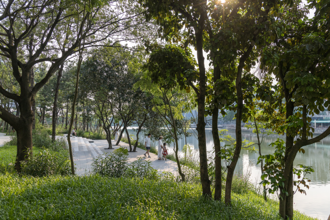 续写亚运荣光，激活滨水新篇|广州亚运公园-7