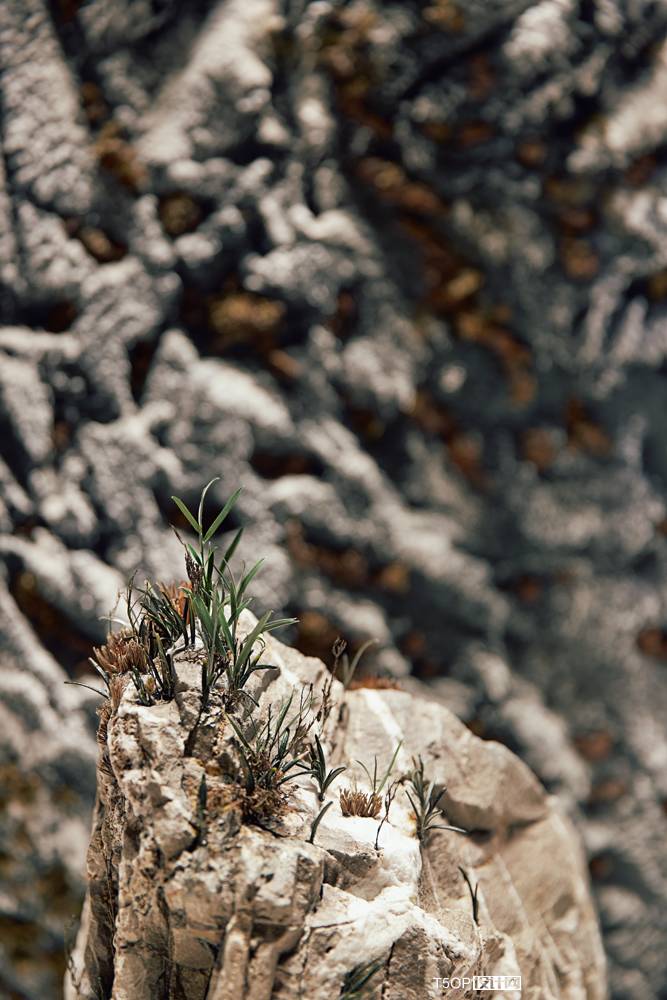 HERMES未来博物馆概念橱窗-15