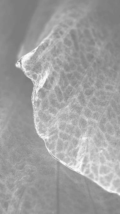 广州华润公园上城丨中国广州丨矩阵纵横,矩阵鸣翠-7