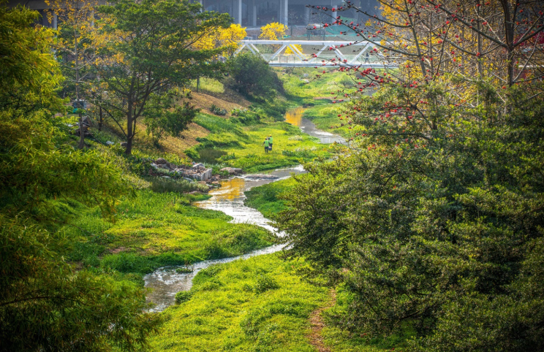 广州南岗河生态修复项目丨中国广州丨AECOM团队-18