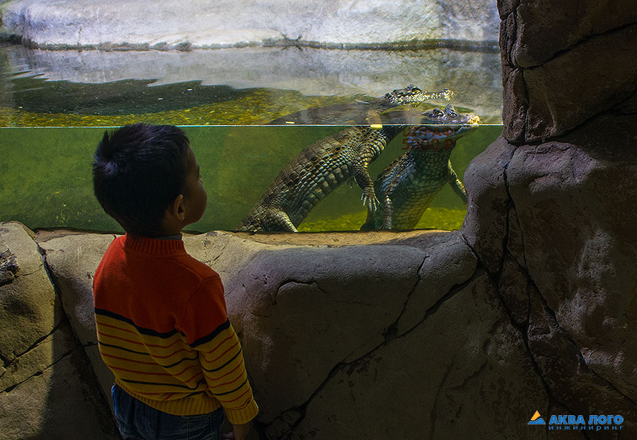 莫斯科和沃罗涅日的“РИО”海洋馆丨俄罗斯莫斯科丨Аква Лого Инжиниринг-16