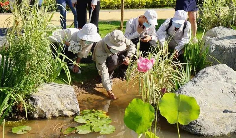 广汽丰田生态园·工业绿色风景线丨普邦设计-101