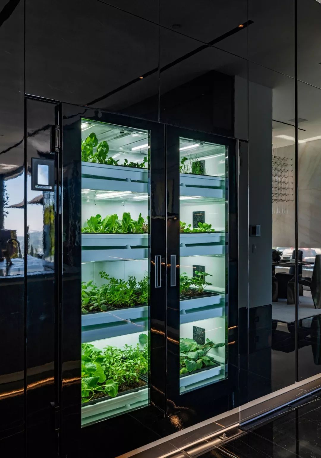 洛杉矶亿元豪宅，精致细节展现高级黑奢华风-24