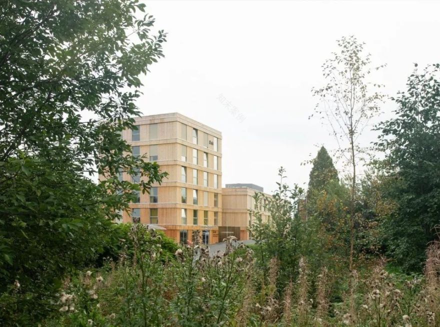 Kallerud学生公寓:模块化木结构住宅-19