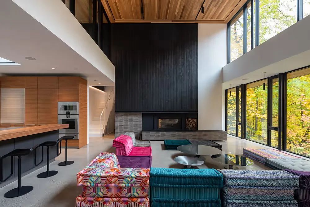 两个掩映在自然中的现代别墅-7