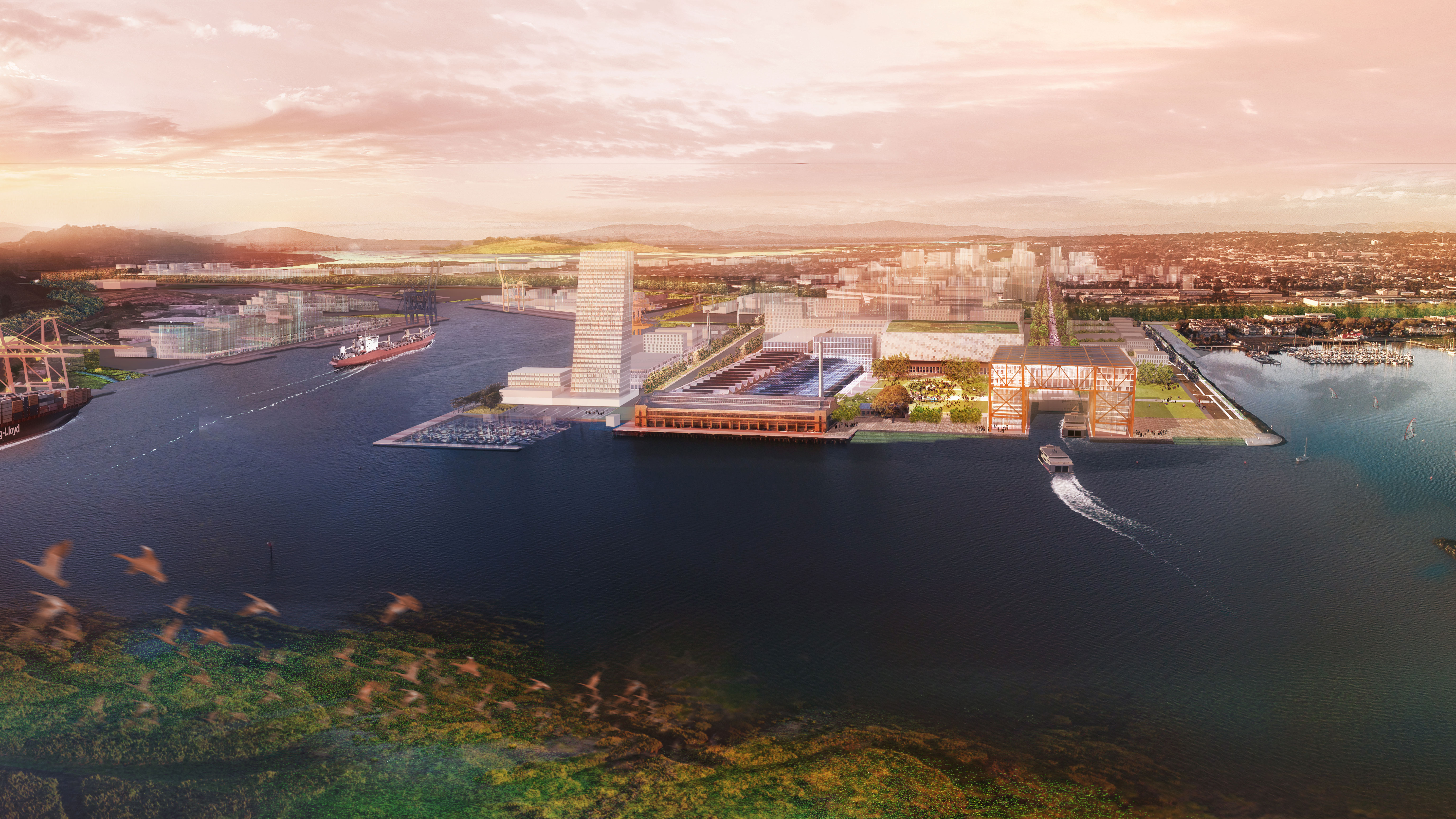 美国里士满海湾-9